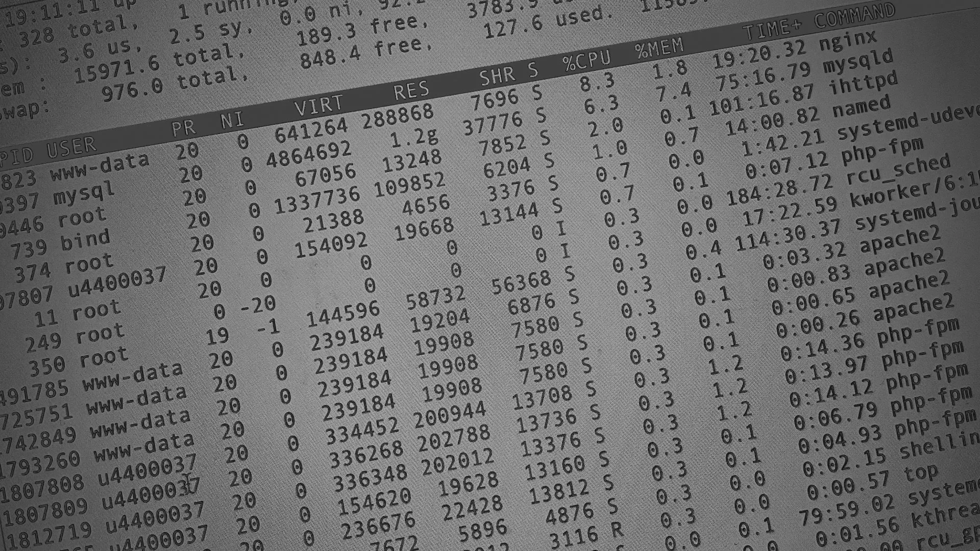 Настройка сервера в Шадринске