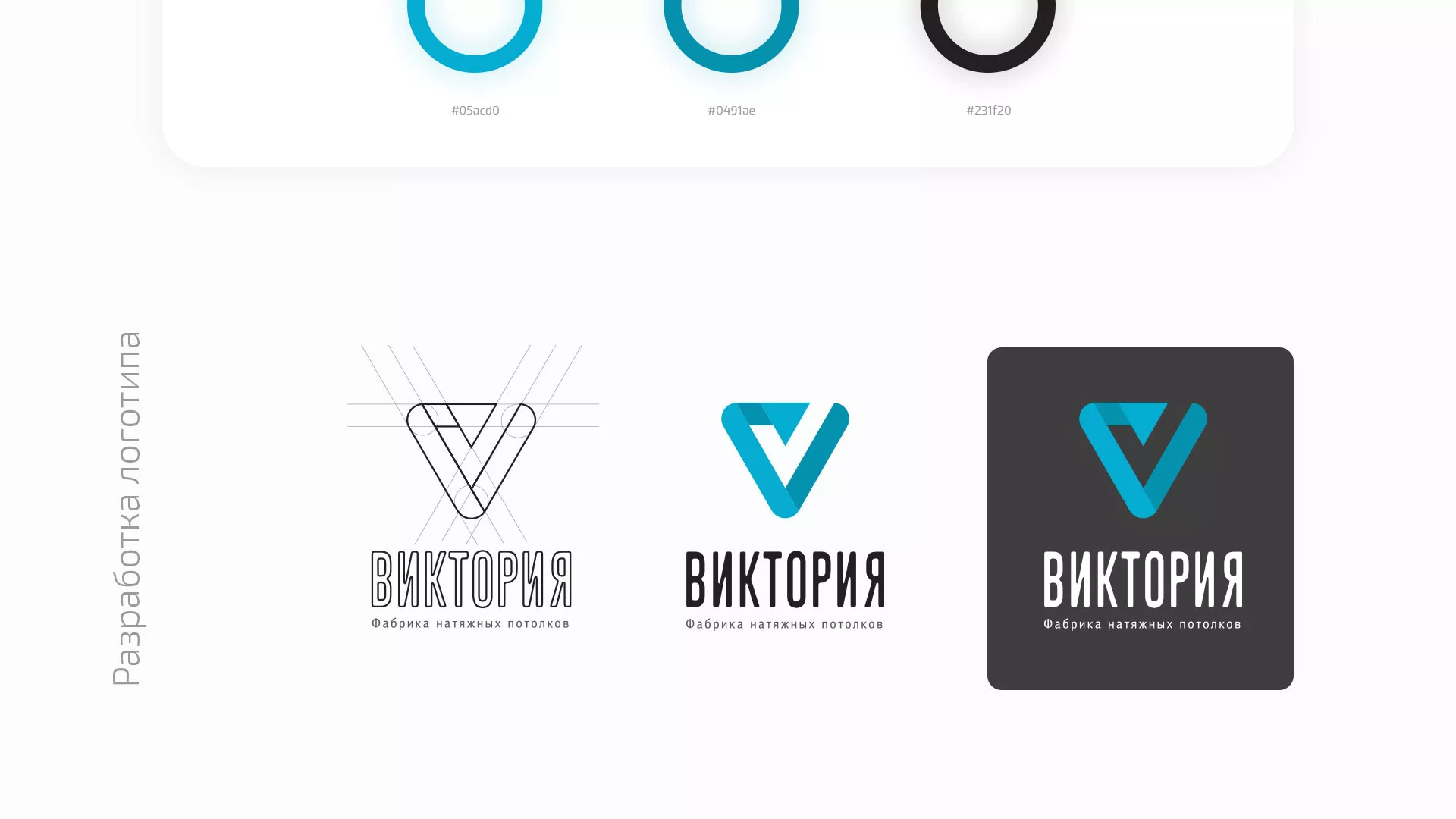 Разработка фирменного стиля компании по продаже и установке натяжных потолков в Шадринске