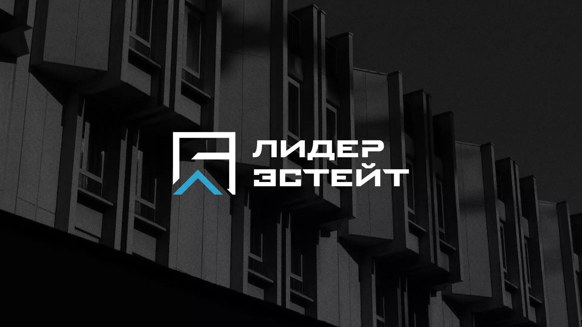 Разработка логотипа агентства недвижимости «Лидер Эстейт» в Шадринске